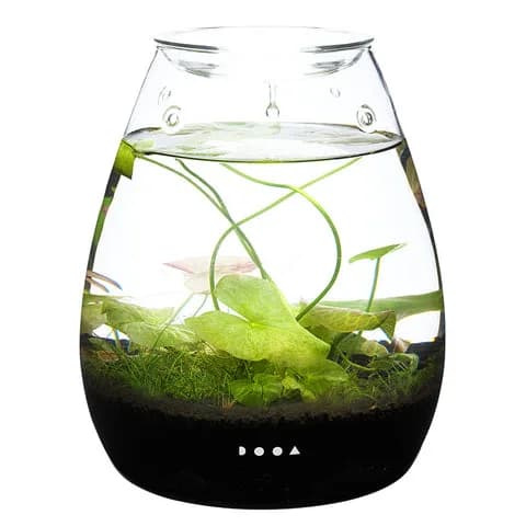 DOOA Glass Pot SHIZUKU