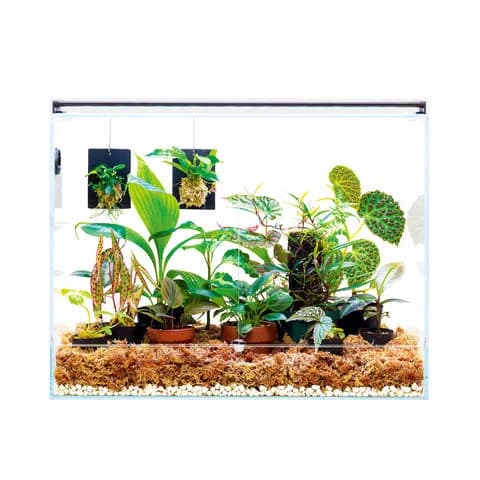 DOOA Neo Glass Paluda 30