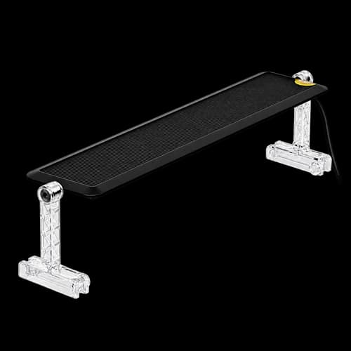 LED Lights