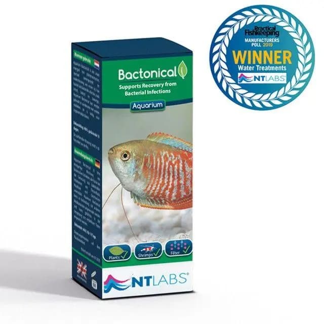 NT Labs Bactonical, marine fish bacterial infection treatment, cure finrot marine fish, mouthrot treatment salt water aquarium, tailrot recovery marine fish, invertebrate safe fish medicine, copper free marine treatment, NT Labs marine care India, botanical extracts for fish recovery