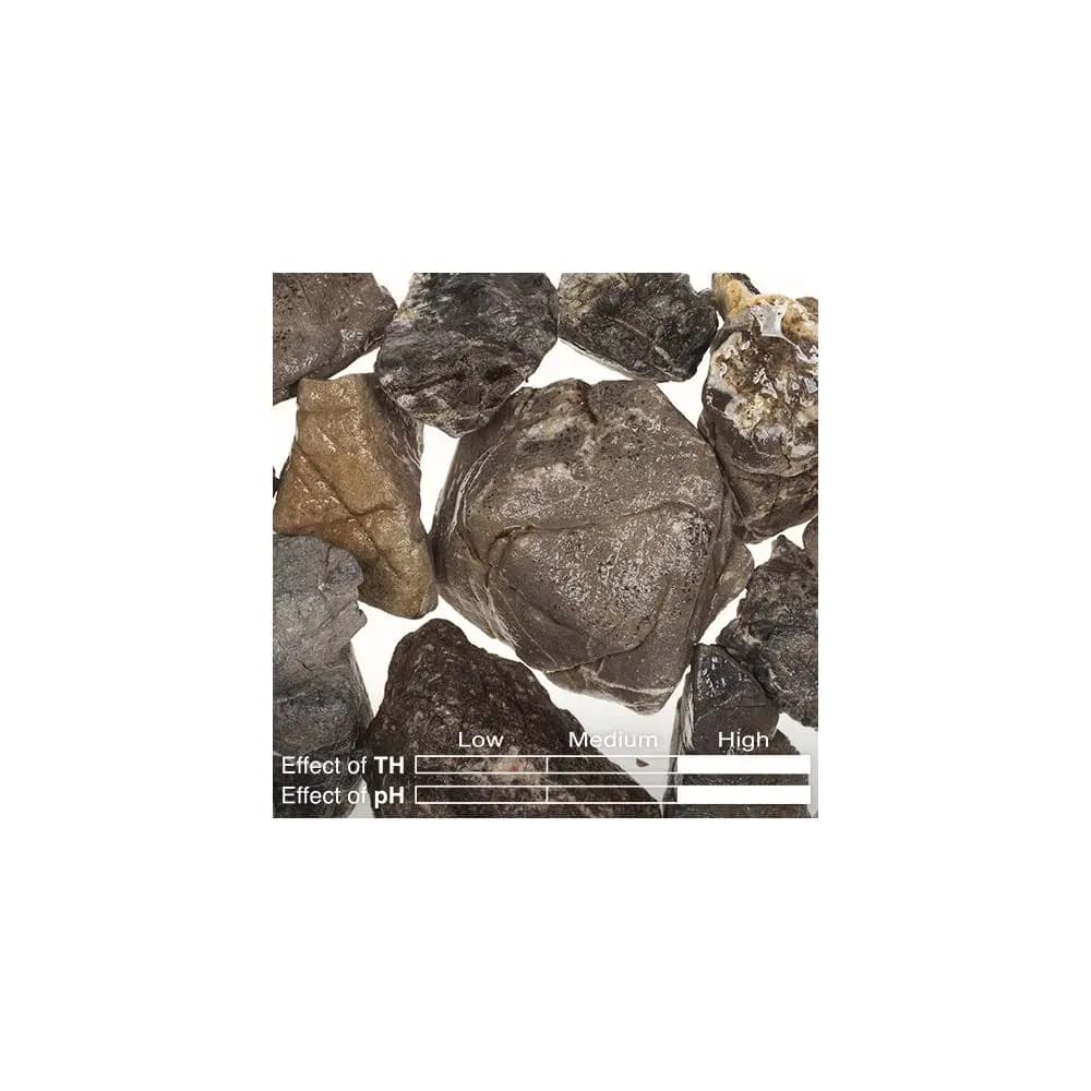 Buy ADA KUMU ST-04 - Lichen Stone - 400g, ADA hardscaping, Best hardscaping, buy Lichen Stone