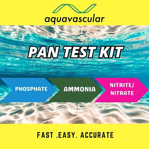 Aquavascular PAN Test Kit, aquarium water test kit India, freshwater aquarium test kit, phosphate ammonia nitrite nitrate test, planted tank water testing, aquarium water parameter kit, shrimp tank water test kit, fish tank water test India, aquarium maintenance tools, water quality test kit freshwater