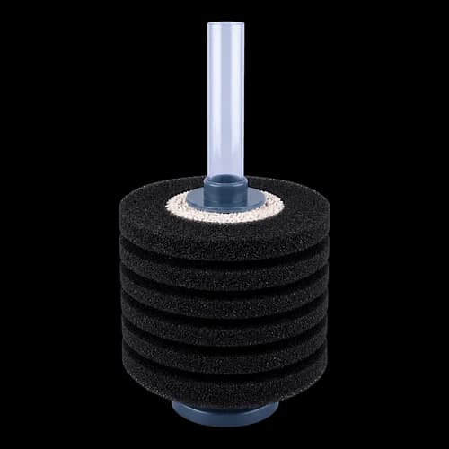 Sponge Filter