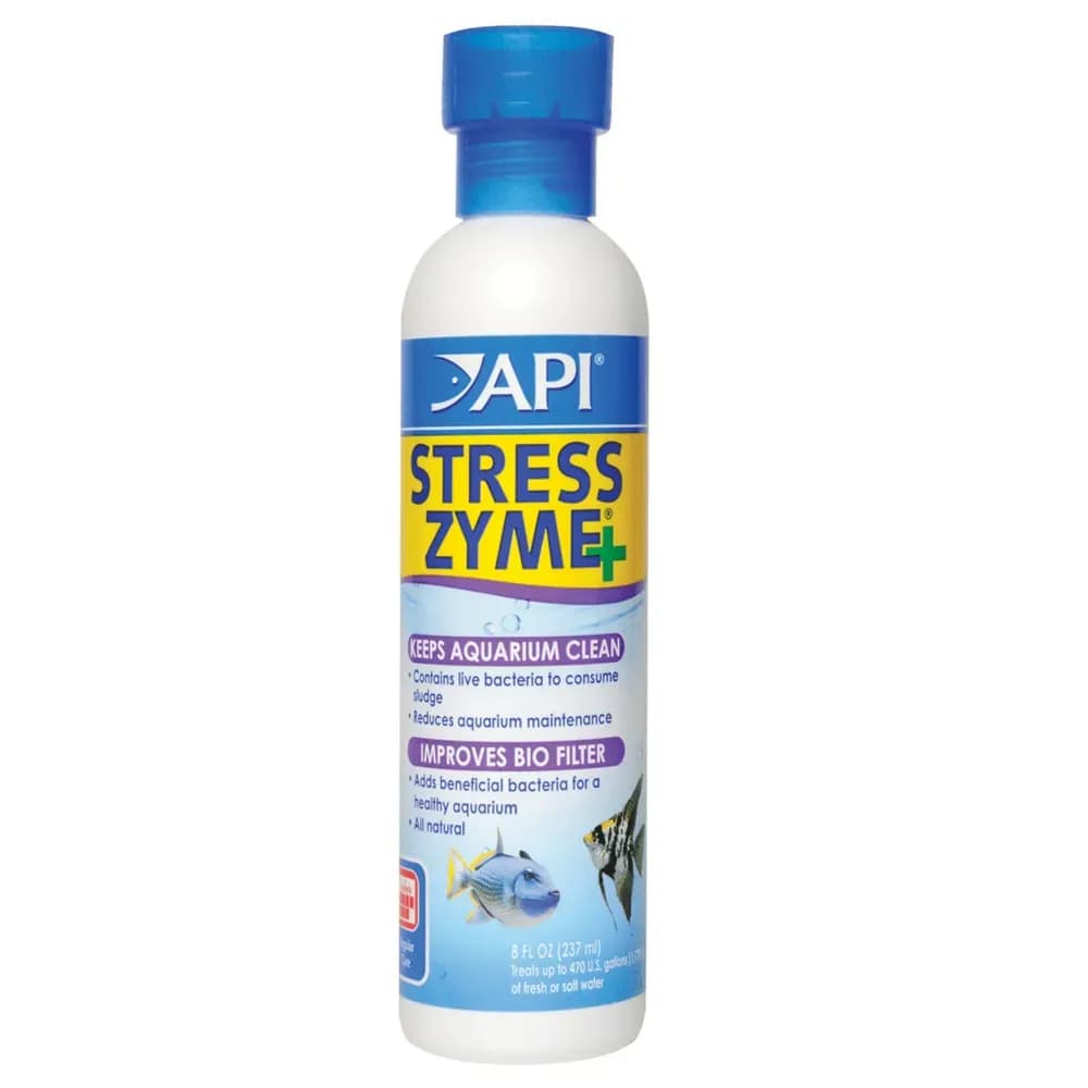 API Stress Zyme+, API Stress Zyme 118ml, API Stress Zyme 237ml, API Stress Zyme 473ml, API beneficial bacteria, aquarium bacteria supplement India, aquarium biological cleaner, freshwater aquarium bacteria, saltwater aquarium bacteria, aquarium sludge remover, aquarium water conditioner India, API aquarium products