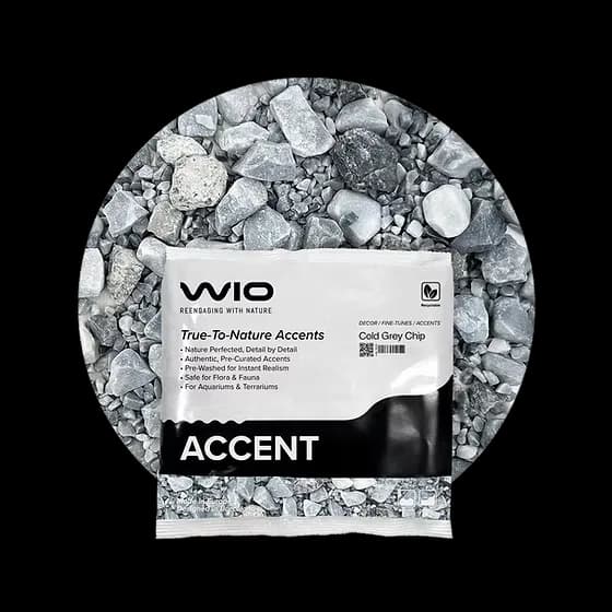 Buy WIO Cold Grey Accent Gravel Mix Online India, cold grey aquarium gravel India, aquarium accent gravel cool tone, biotope aquascaping accent substrate, WIO cold grey chip, decorative aquarium gravel India, nature aquascape accent stones, freshwater aquarium detailing gravel