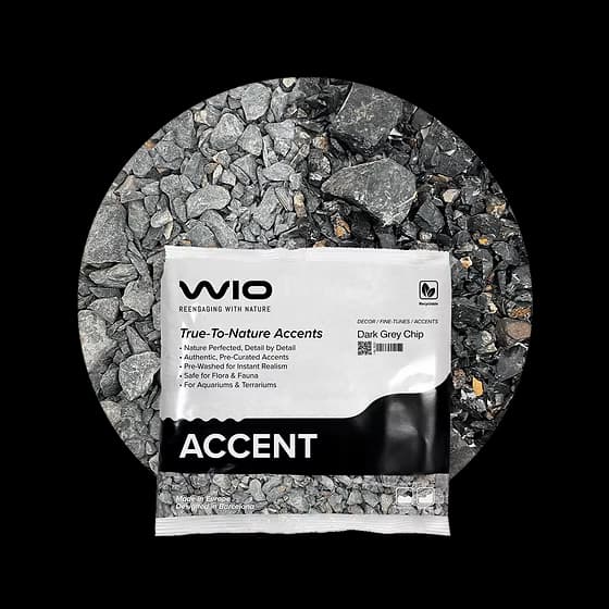 Buy WIO Dark Grey Accent Gravel Mix Online India, aquarium accent substrate India, dark grey aquarium gravel accent, biotope aquascaping accent material, WIO accent chip 750g, decorative aquarium substrate India, nature aquascape accent stones, freshwater aquarium detailing substrate