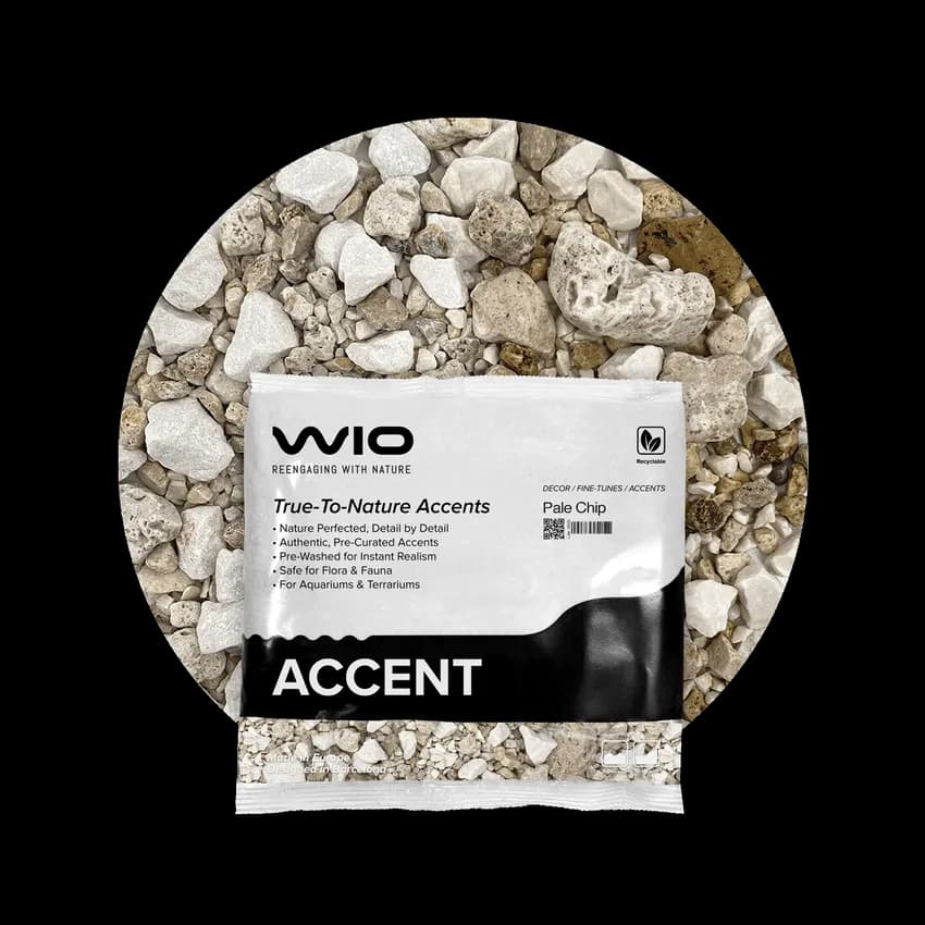 Buy WIO Pale Accent Gravel Mix Online India, pale aquarium accent gravel India, light colour aquarium gravel, biotope aquascaping accent substrate, WIO pale chip 750g, decorative aquarium gravel India, nature aquascape accent stones, freshwater aquarium detailing gravel