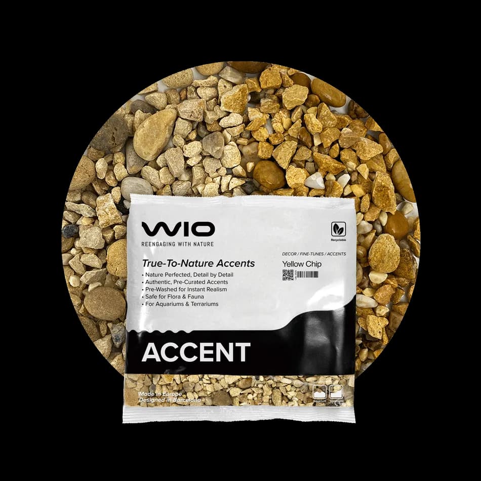 Buy WIO Yellow Accent Gravel Mix Online India, yellow aquarium accent gravel India, biotope aquascaping accent substrate, natural yellow aquarium gravel, WIO yellow chip 750g, decorative aquarium gravel India, nature aquascape accent stones, freshwater aquarium detailing gravel