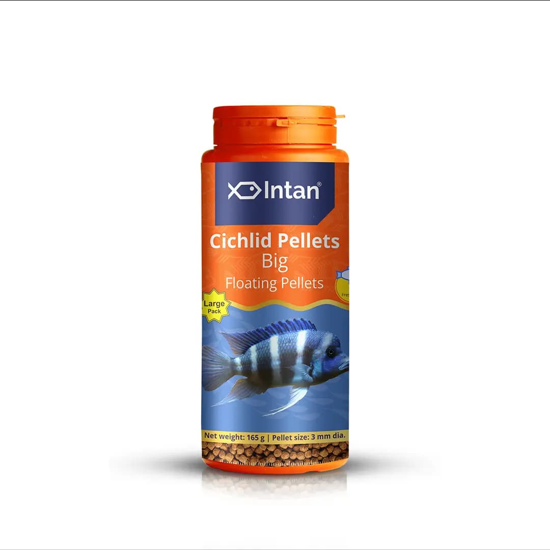 Intan Cichlid Pellets - Big | Floating Fish Food - Intan Cichlid Pellets Big, floating cichlid food India, high protein cichlid pellets, African Cichlid fish food, colour enhancing food for Cichlids, Mbuna fish food, Peacock Cichlid diet, Oscar fish growth food, Flowerhorn colour pellets, best cichlid food for growth
