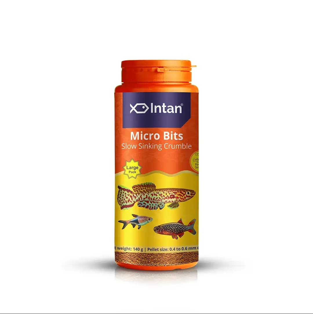 Intan Micro Bits - Slow Sinking Fish Food for Small Mouth Tropical Fish - Intan Micro Bits, slow sinking fish food, small mouth tropical fish food, neon tetra pellets, rasbora fish feed, danio fish food, high protein aquarium food, fish food with garlic, Antarctic krill fish food, best food for endler guppies, water stable fish pellets India