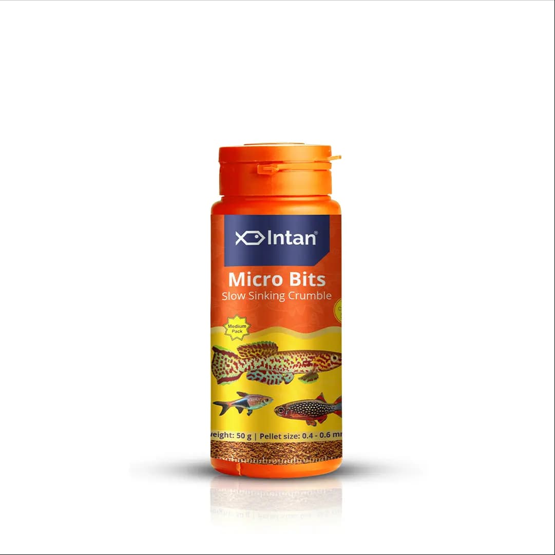 Intan Micro Bits - Slow Sinking Fish Food for Small Mouth Tropical Fish - Intan Micro Bits, slow sinking fish food, small mouth tropical fish food, neon tetra pellets, rasbora fish feed, danio fish food, high protein aquarium food, fish food with garlic, Antarctic krill fish food, best food for endler guppies, water stable fish pellets India