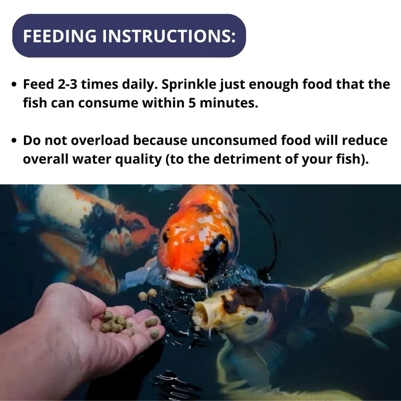 Optimum CP Hi Pro Growth and Colour Koi Food (Large Size) - 1.5kg