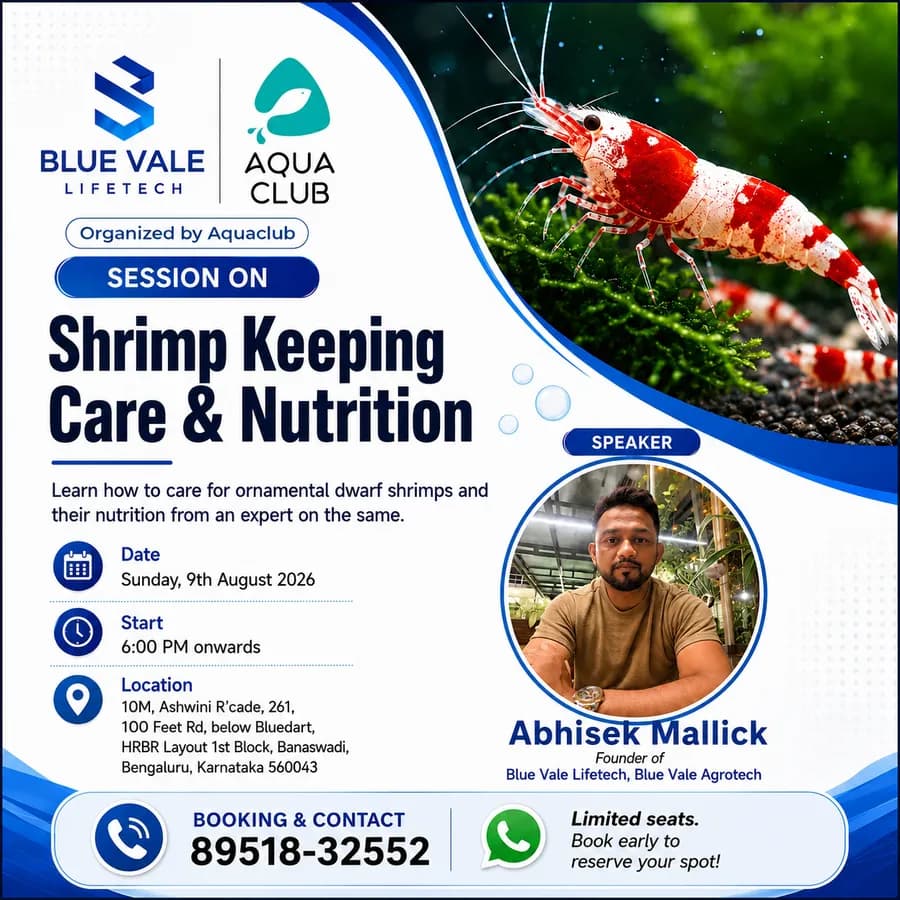 Shrimp Keeping: Care & Nutrition with Abishek Mallick