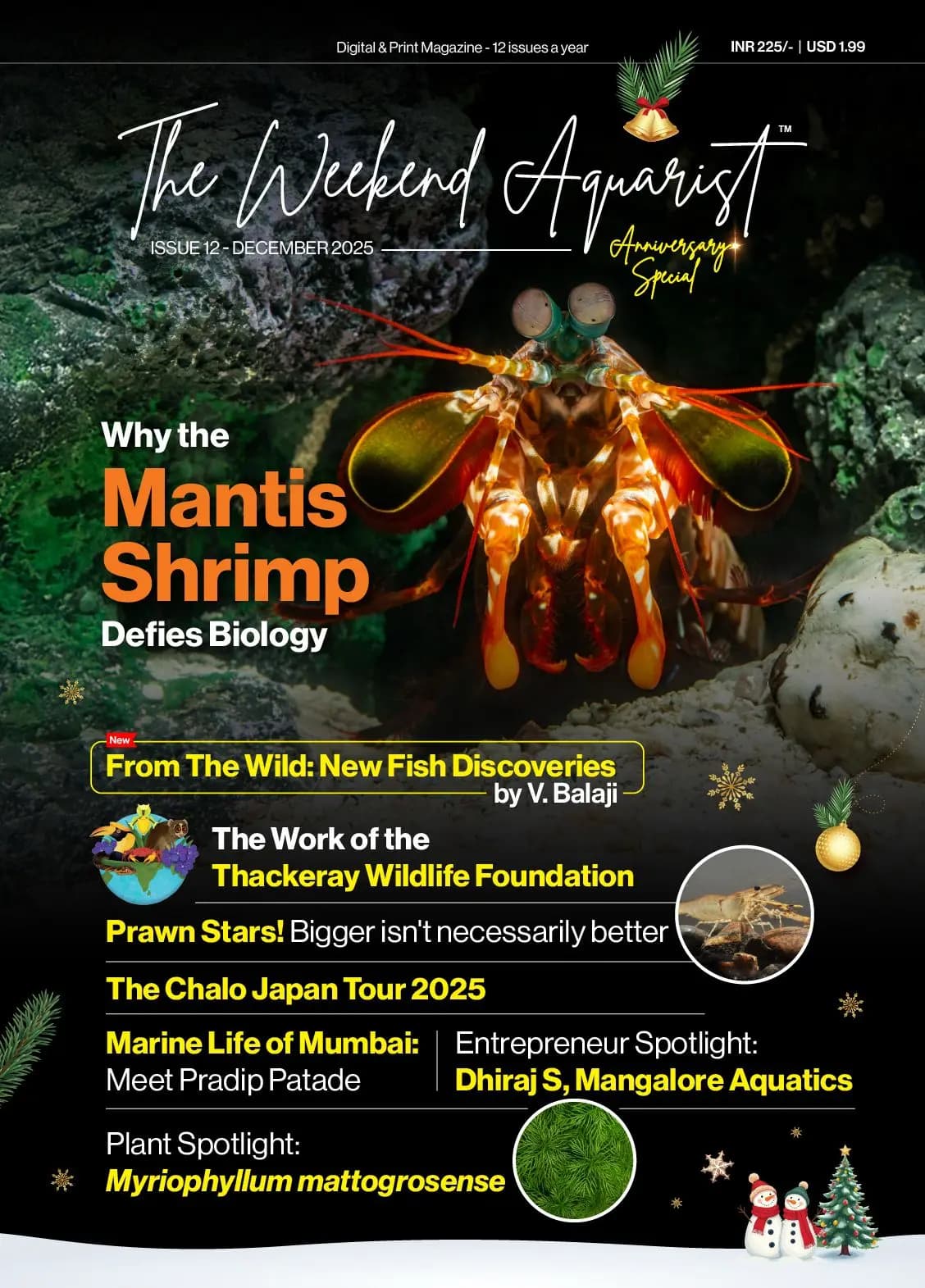 Buy The Weekend Aquarist - December 2025 Edition magazine