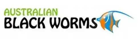 Australian Black Worms