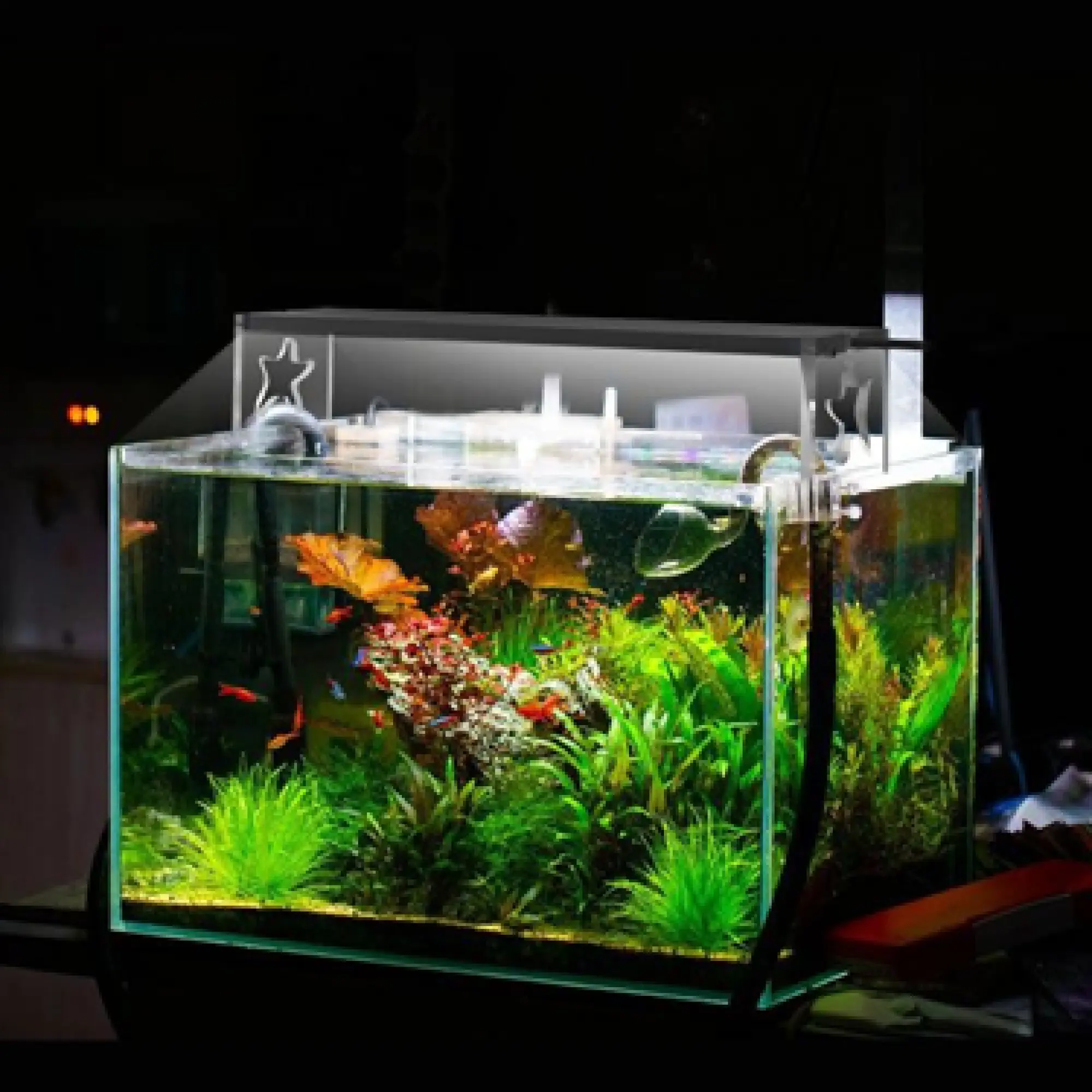 【SG】新品 LEDライト LEDSTAR AQ-s60 60cm水槽用 LEDSTAR モデルS2 AQ-S60 水槽LEDライト メーカー正規保証 正規