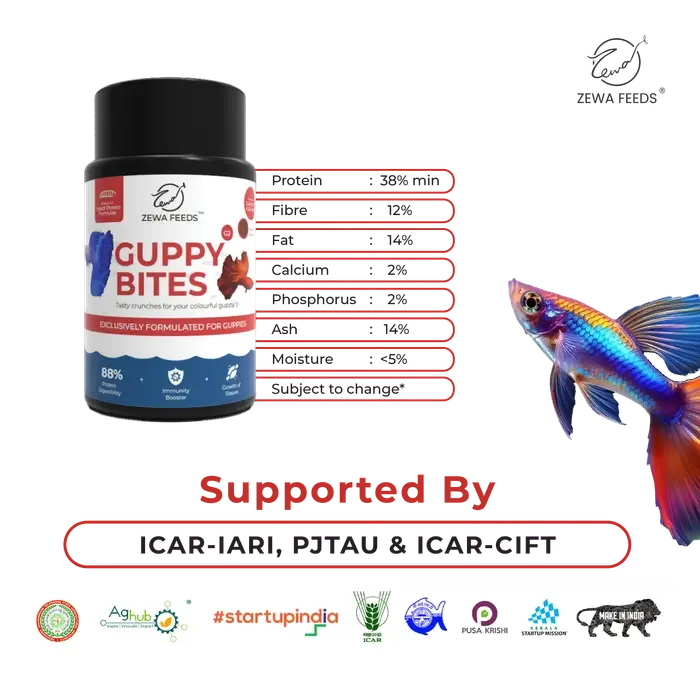Buy Zewa Guppy Bites – Premium Floating Food for Guppies